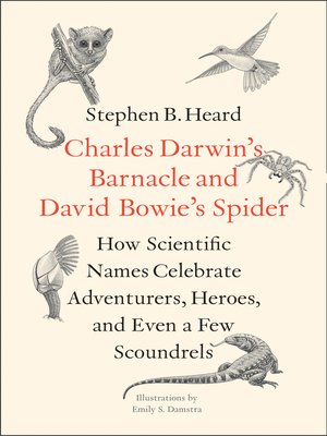 cover image of Charles Darwin's Barnacle and David Bowie's Spider